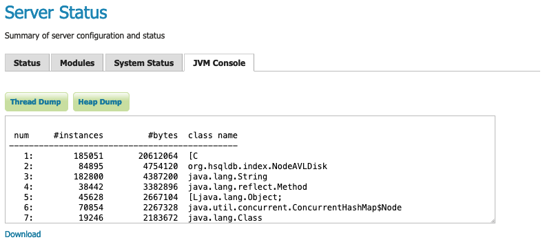 JVM Console