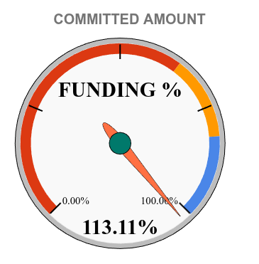 Crowdfunding progress percentage
